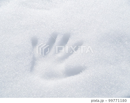 雪の上の手形。 雪の上の手形。 99771180