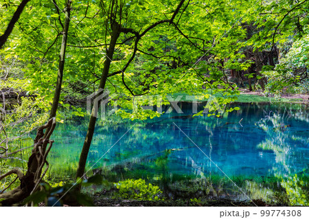 山形遊佐の初夏　神秘の池　新緑の丸池様 99774308