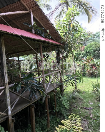 アマゾン川地域の島にあるコテージ 99774378
