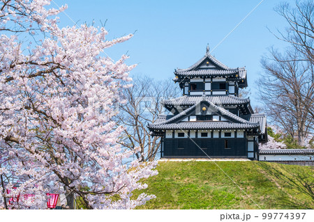 高田城址公園(春) 高田城址公園(春) 99774397