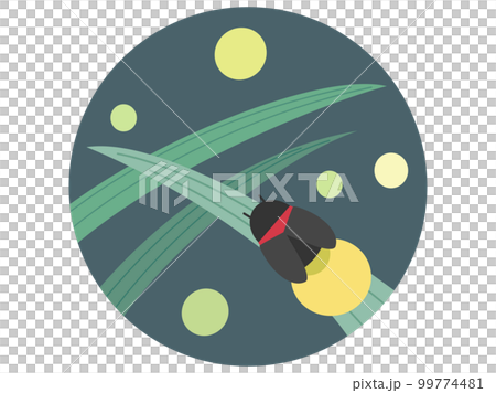 葉っぱにとまっているホタルをイメージしたイラスト 99774481