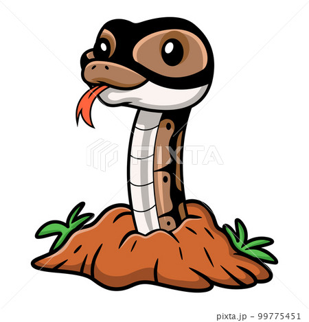 Cute ball python snake cartoon out from hole Cute ball python snake cartoon out from hole 99775451