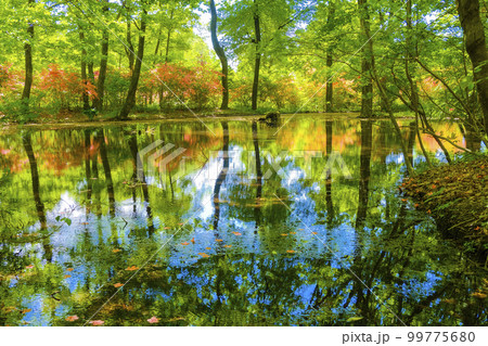 新緑と青空のリフレクション 新緑と青空のリフレクション 99775680