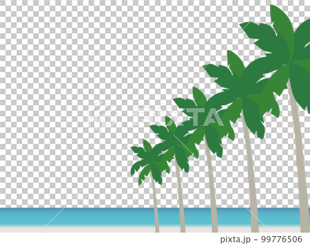 Yashinoki B2-5 Yashinoki B2-5 99776506