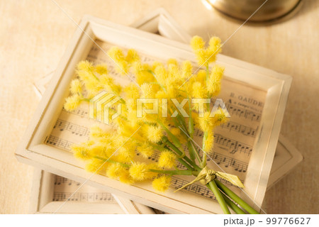 ミモザと額【春イメージ】 99776627