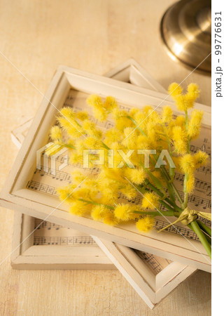 ミモザと額【春イメージ】 99776631