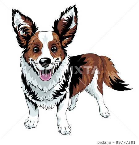 vector sketch dog Cardigan Welsh corgi 99777281