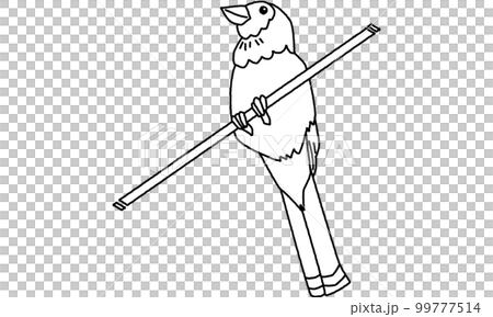 Creatures of the world natural heritage island blue jay line drawing only 99777514
