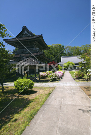 ツツジ咲く曹洞宗大本山總持寺祖院山門と僧堂 99778867