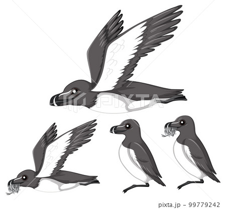 Magpie birds in cartoon style 99779242