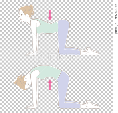 cat pose, cat and cow 99780056