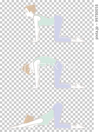 Cat Pose/Cat Stretch Pose 99780058
