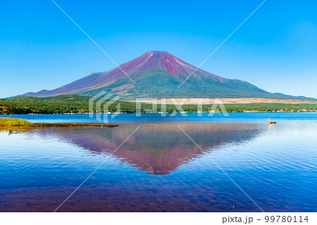 初秋の富士山 ~山中湖~ 初秋の富士山 ~山中湖~ 99780114