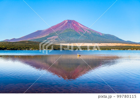 初秋の富士山 ～山中湖～ 99780115