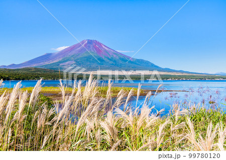 初秋の富士山 ~山中湖~ 初秋の富士山 ~山中湖~ 99780120