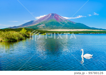 初秋の富士山 ～山中湖～ 99780126