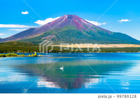 初秋の富士山 ~山中湖~ 初秋の富士山 ~山中湖~ 99780128