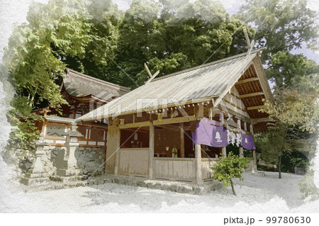 水彩画風　高鴨神社　拝殿と本殿　奈良県御所市 99780630