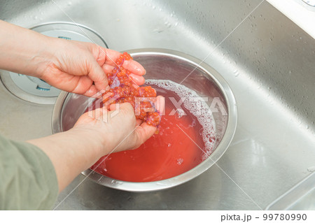 【イクラの醤油漬けを作るために、塩を入れたぬるま湯に生イクラを入れほぐす】 【イクラの醤油漬けを作るために、塩を入れたぬるま湯に生イクラを入れほぐす】 99780990