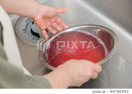 【イクラの醤油漬けを作るために、ほぐした生イクラをすすぐ】 【イクラの醤油漬けを作るために、ほぐした生イクラをすすぐ】 99780992