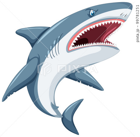 Aggressive great white shark cartoon 99781251