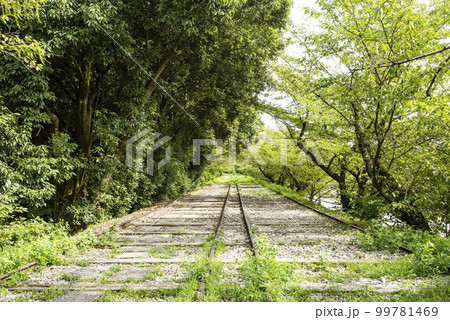新緑とインクライン　京都蹴上インクライン　傾斜鉄道跡　京都観光スポット 99781469