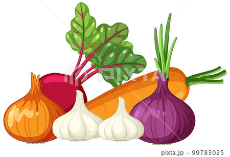 Pile of various root vegetables 99783025