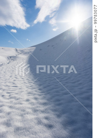 鳥取砂丘の雪景色 鳥取砂丘の雪景色 99783077