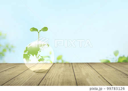 青空に透明な地球に新芽。環境保護と持続可能な社会 99783126