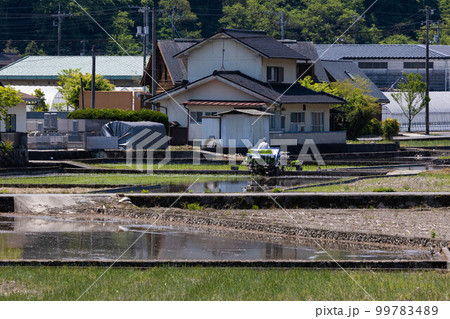 EOSR6.広島尾道、尾道の田植え。 99783489
