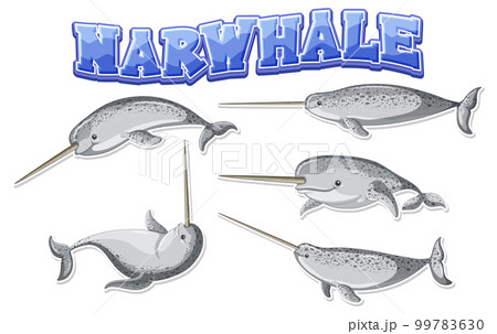 Narwhale cartoon character in different poses 99783630
