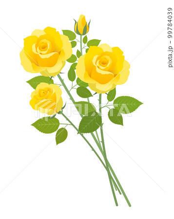 黄色い薔薇の花束 99784039