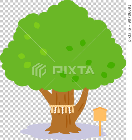 Tree wrapped with shimenawa, sacred tree 99786091