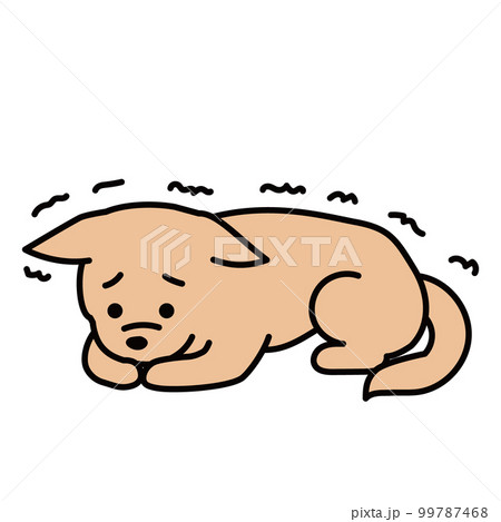 震える犬 震える犬 99787468