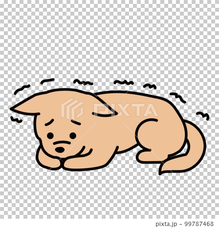 震える犬 震える犬 99787468