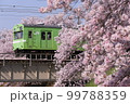桜と奈良線の103系電車 99788359
