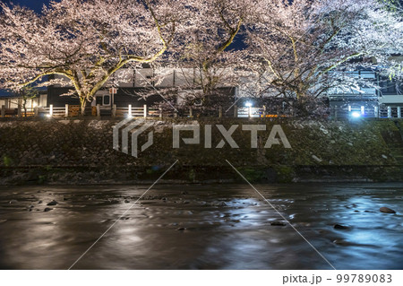 220411中橋桜z148 220411中橋桜z148 99789083