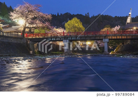 220411中橋桜z142 220411中橋桜z142 99789084