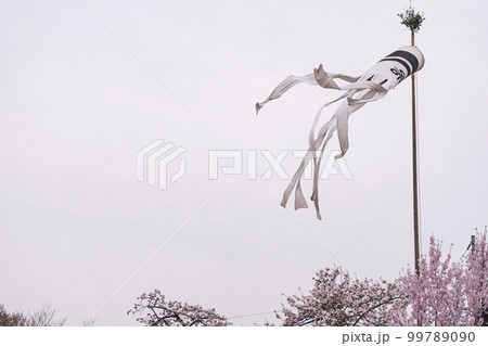 220411中橋桜g096 99789090