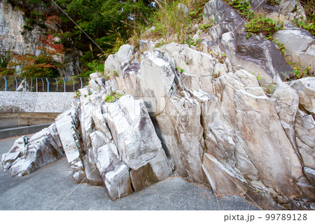 浄土ヶ浜の絶景を作る白い岩・流紋岩 99789128