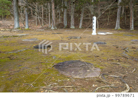 嘉祥寺跡の礎石 毛越寺 岩手県 嘉祥寺跡の礎石 毛越寺 岩手県 99789671