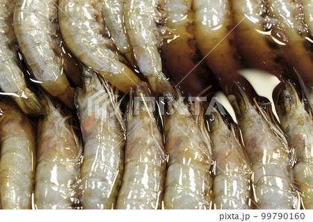 新鮮なエビを醤油に漬けた韓国料理のカンジャンセウ 新鮮なエビを醤油に漬けた韓国料理のカンジャンセウ 99790160