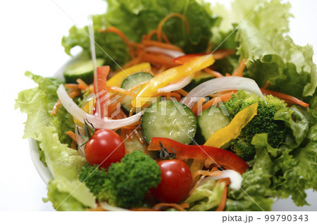 生野菜　サラダ　ドレッシングシズル 99790343