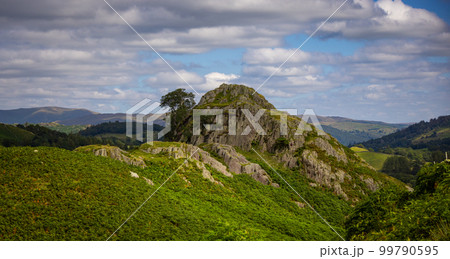 Amazing landscape and nature of Lake District National Park 99790595