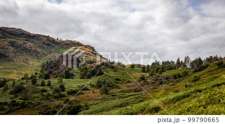 Amazing landscape and nature of Lake District National Park Amazing landscape and nature of Lake District National Park 99790665