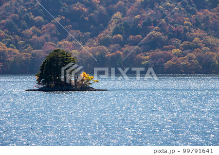 中禅寺湖畔の紅葉 99791641