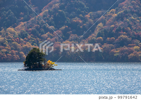 中禅寺湖畔の紅葉 99791642