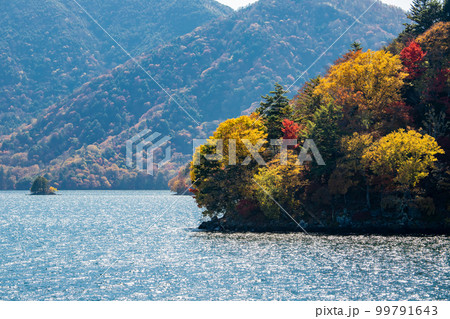中禅寺湖畔の紅葉 99791643