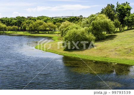 Beautiful lakeside landscape in the Tainan Metropolitan Park in Taiwan Beautiful lakeside landscape in the Tainan Metropolitan Park in Taiwan 99793539