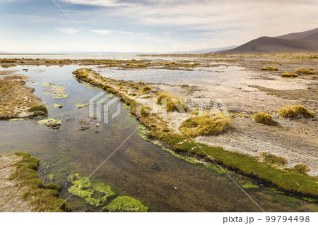Altiplano volcanic landscape of Potosi Region with lakes and valleys, Bolivia 99794498